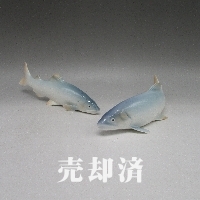 プレミアノリタケ 鮎の置物2点セット